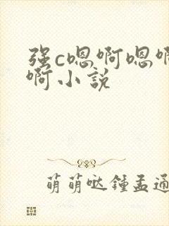 强c嗯啊嗯啊嗯啊小说