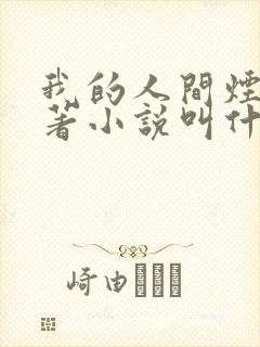 我的人间烟火原著小说叫什么名字