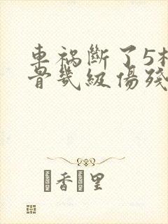 车祸断了5根肋骨几级伤残