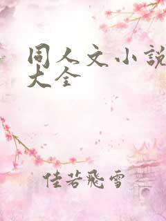 同人文小说软件大全
