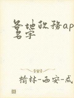 各地政务app名字
