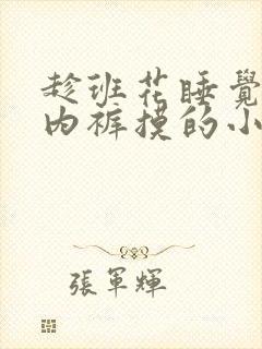 趁班花睡觉伸进内裤摸的小说