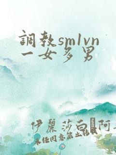 调教sm1vn一女多男