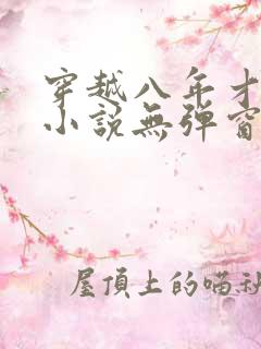 穿越八年才出道小说无弹窗