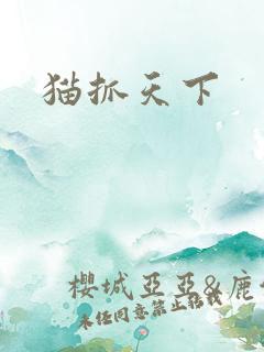 猫抓天下