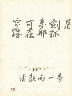 宝可梦剑盾利欧路在哪抓