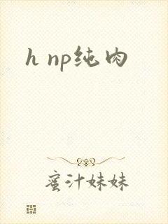 h np纯肉 h np纯肉