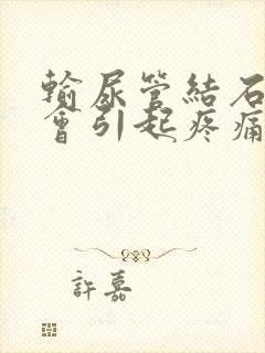 输尿管结石移动会引起疼痛