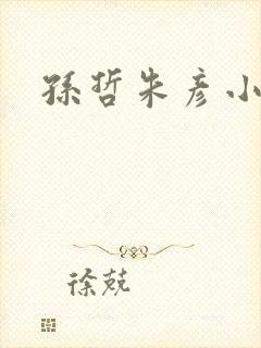 孙哲朱彦小说