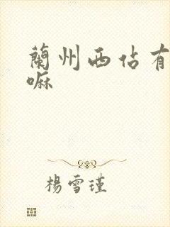 兰州西站有火车嘛