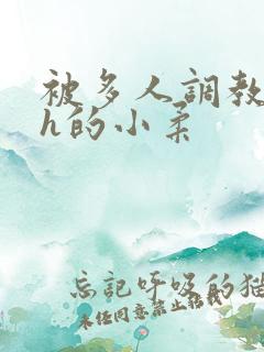 被多人调教失禁h的小柔