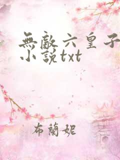 无敌六皇子云铮小说txt