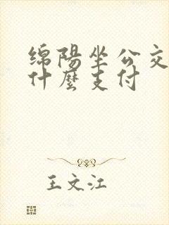 绵阳坐公交车用什么支付