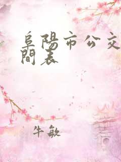 阜阳市公交车时间表