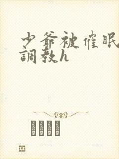 少爷被催眠玩弄调教h
