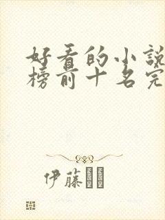 好看的小说排行榜前十名完结版