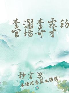 李澜李霖的小说官场奇才