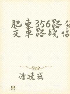 肥东356路公交车路线站查询 肥东356路公交车路线站查询
