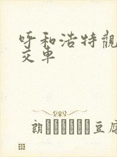 呼和浩特观光公交车