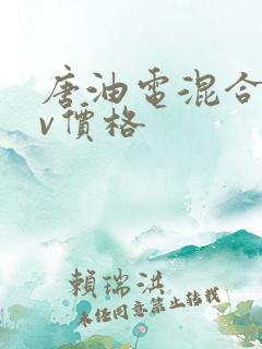 唐油电混合suv价格