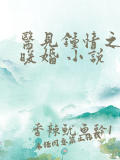 医见钟情之名门暖婚 小说