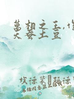 万相之王,作者天蚕土豆