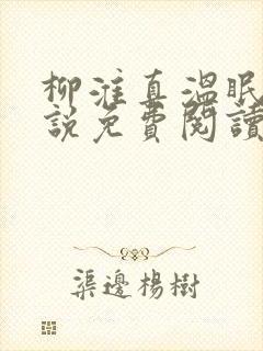 柳淮真温眠眠小说免费阅读无弹窗