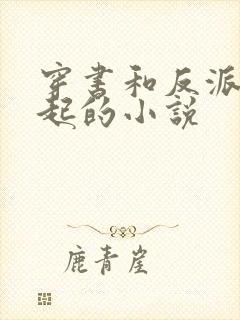 穿书和反派在一起的小说
