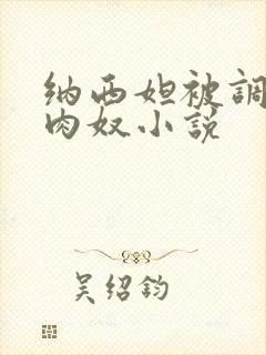 纳西妲被调教成肉奴小说