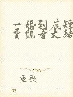 一婚到底短剧免费观看大结局