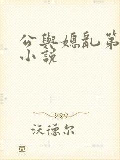 公与媳乱第1集小说