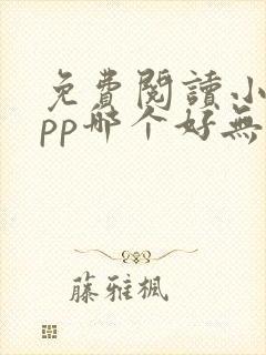免费阅读小说app哪个好无广告