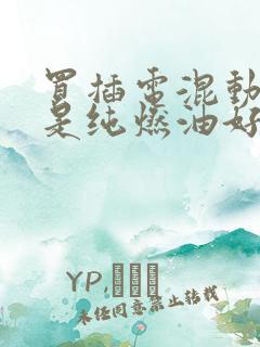 买插电混动好还是纯燃油好