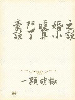 豪门暖婚之夫人说了算小说免费阅读