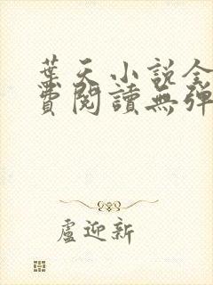 叶天小说全文免费阅读无弹窗