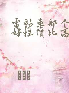 电动车哪个牌子好性价比高