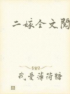 二嫁全文阅读
