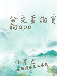公交查询实时查询app