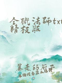 全职法师txt精校版 全职法师txt精校版
