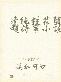 清纯校花堕落记赵诗宁小说