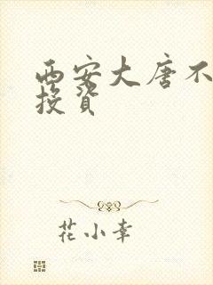西安大唐不夜城投资