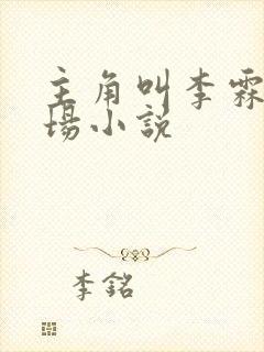主角叫李霖的官场小说