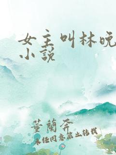 女主叫林晚晚的小说