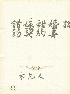 错嫁甜婚 总裁的契约妻