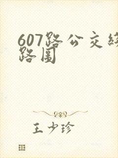 607路公交线路图