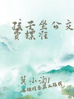 孩子坐公交车收费标准