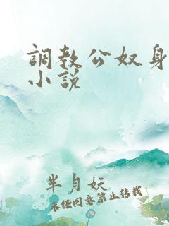 调教公奴身体的小说 调教公奴身体的小说