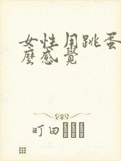 女性用跳蛋是什么感觉