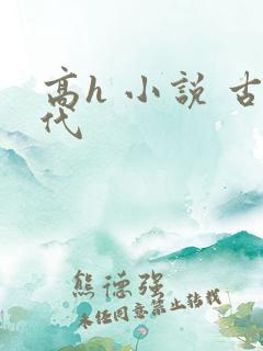 高h 小说 古代