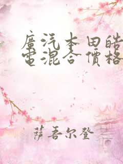 广汽本田皓影油电混合价格